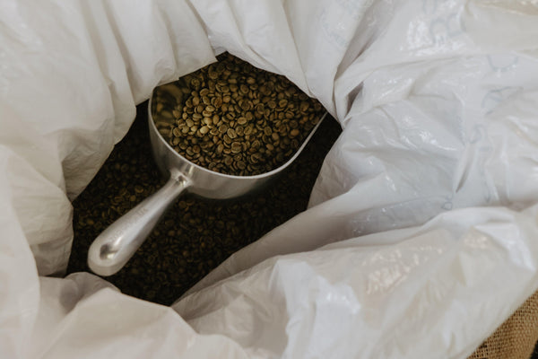 Grønne kaffebønner: Videnskaben bag hvorfor de er grønne, og hvordan du rister dem for at få den bedste kop kaffe med den bedste smag - Copenhagen Brew
