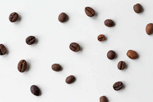 9 ting du kan bruge din kaffegrums til (2022) - Copenhagen Brew